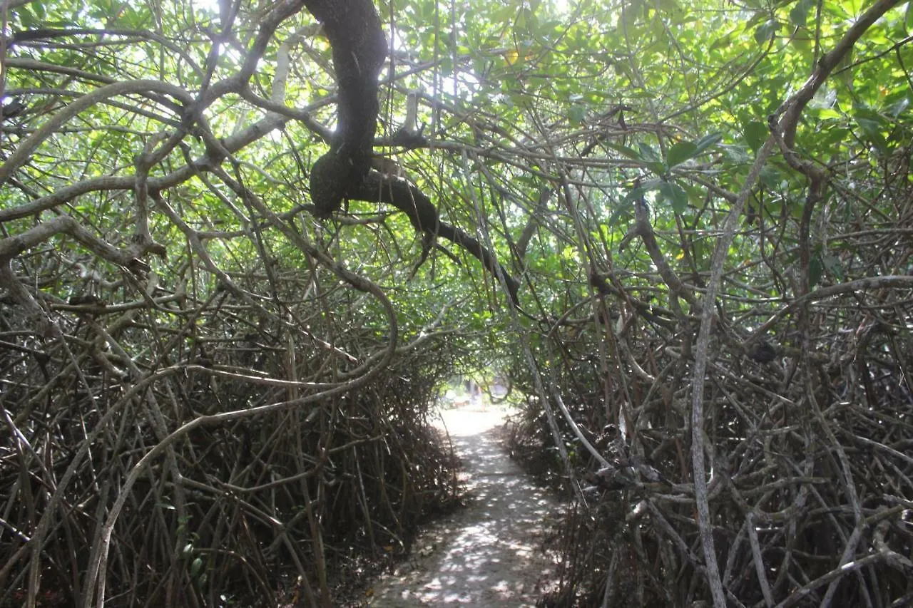 Hotel Cenote Encantado Tulum Eco-Glamping Camp