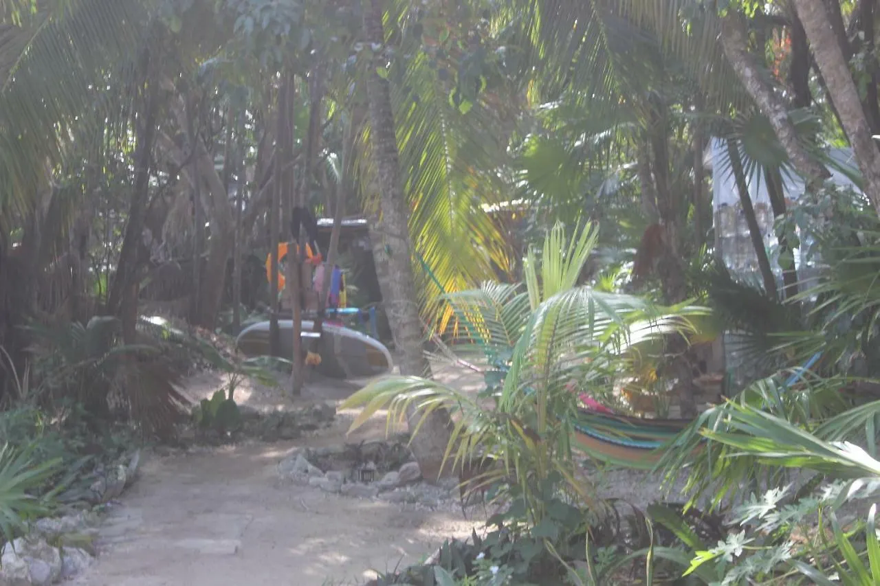 Luxury tent Cenote Encantado Tulum Eco-Glamping Camp Hotel