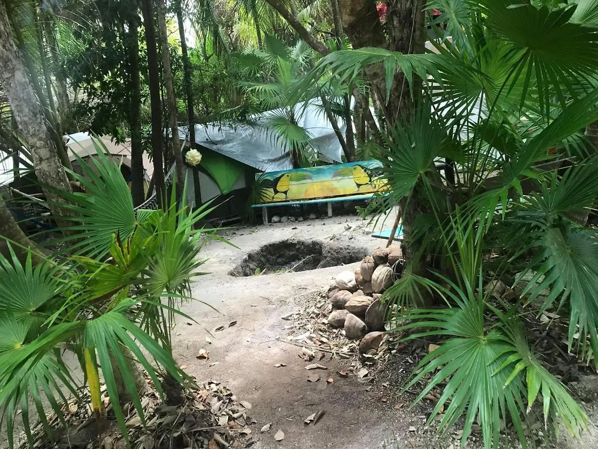 Cenote Encantado Tulum Eco-Glamping Camp Hotel 0*,  Mexico