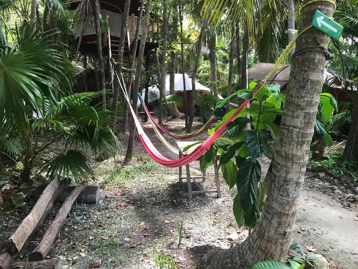 Luxury tent Cenote Encantado Tulum Eco-Glamping Camp Hotel Mexico